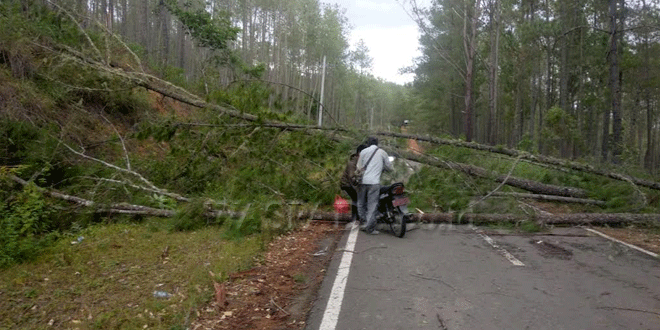 Angin-Kencang-dan-Hujan-Deras-di-Aceh-Tengah.gif-2